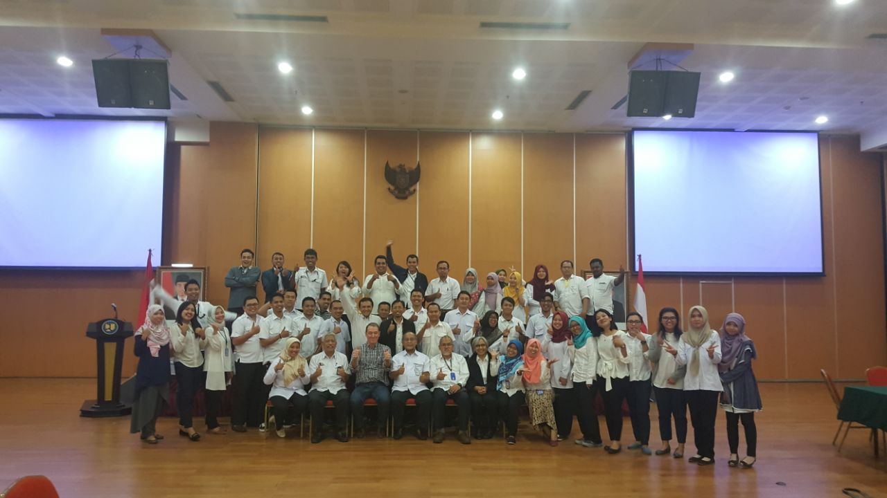 RIBASIM training